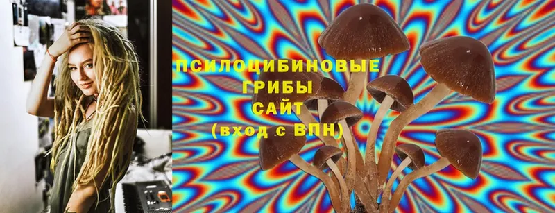 как найти закладки  Ливны  Галлюциногенные грибы Cubensis 